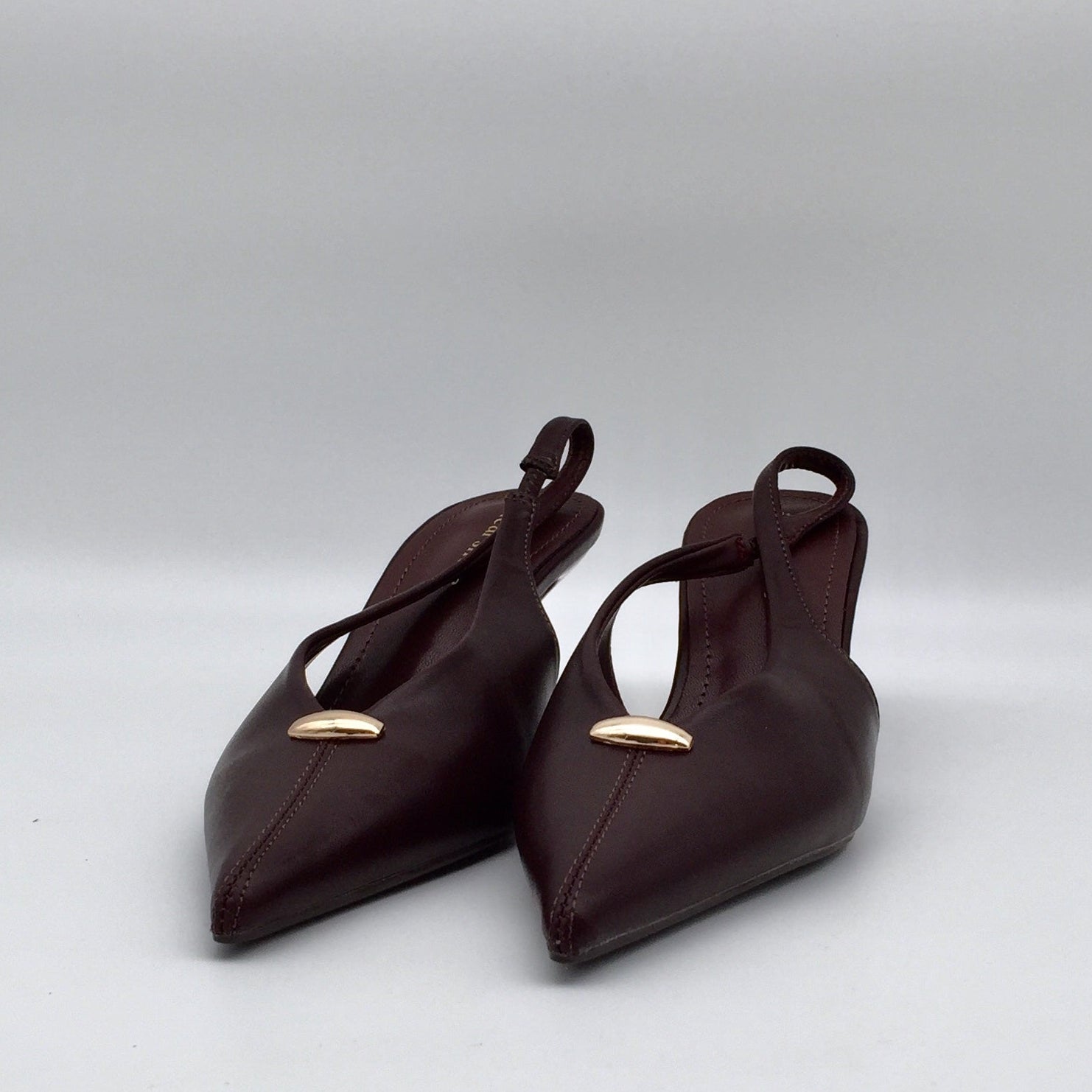 Pointy Heels Golden Detail
