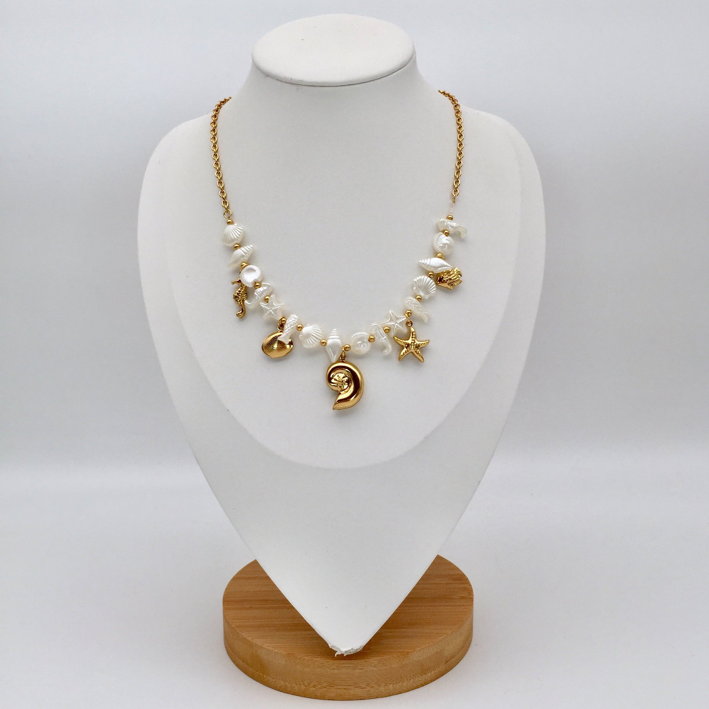Kette Shells and Fishes