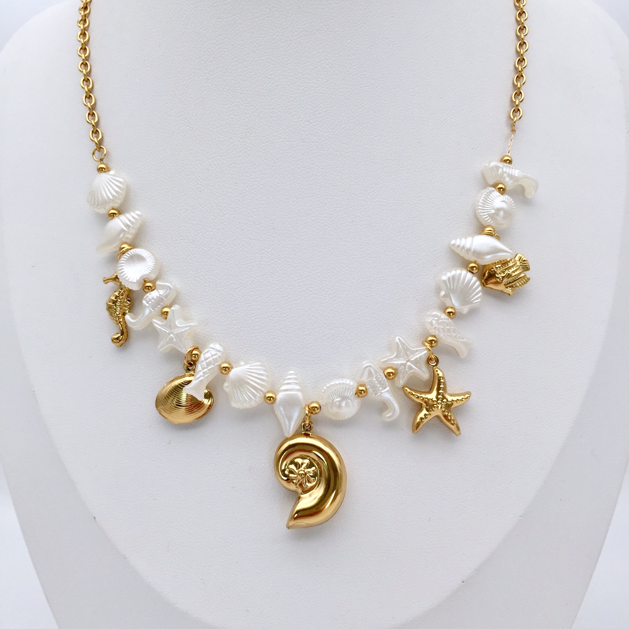 Kette Shells and Fishes