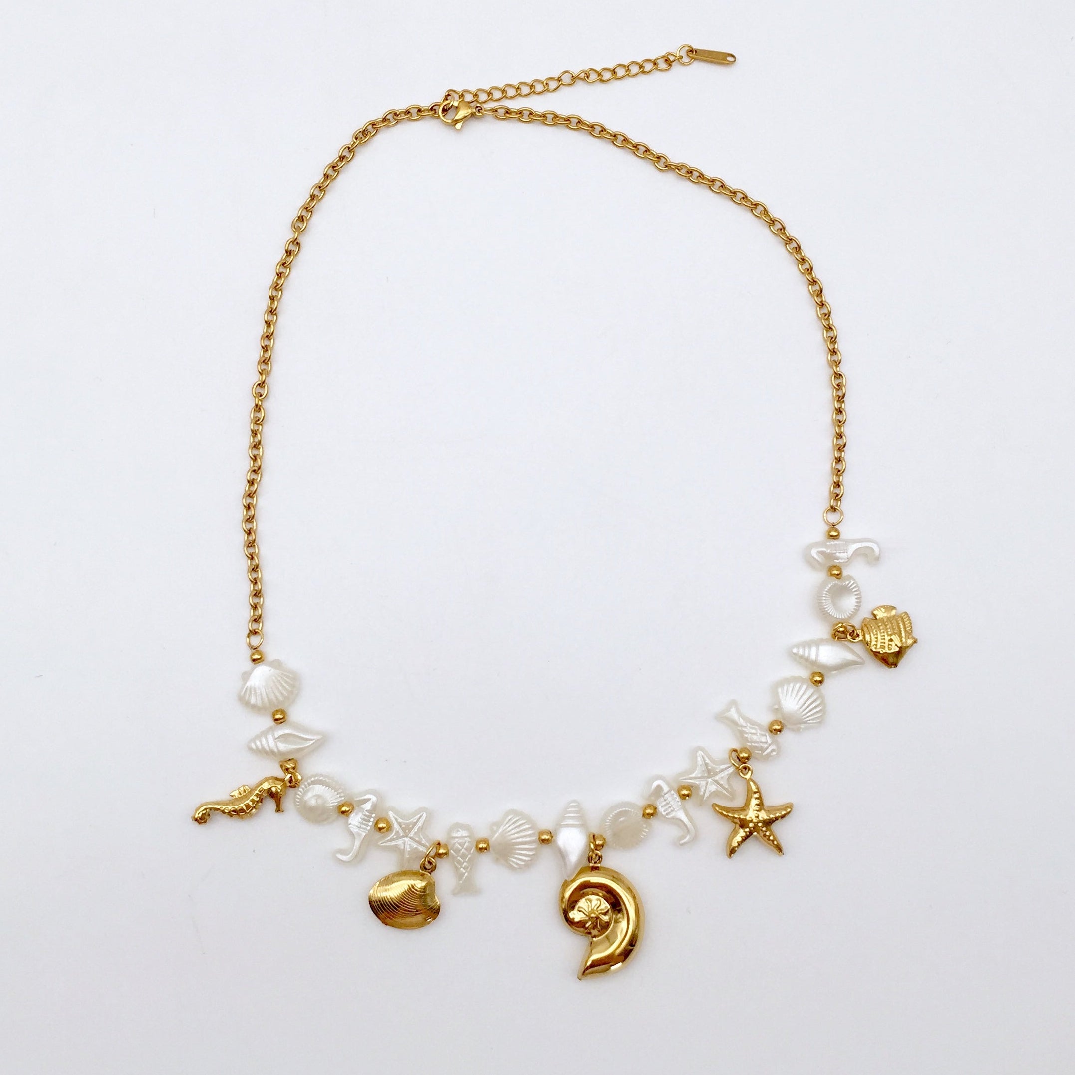 Kette Shells and Fishes