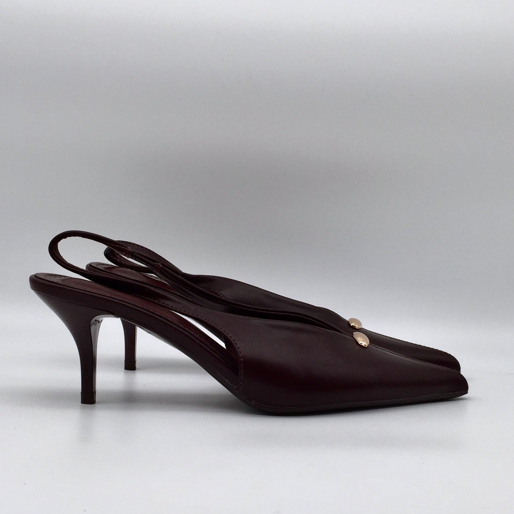 Pointy Heels Golden Detail